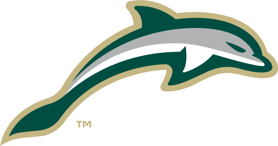 Jacksonville Dolphins 2018-Pres Secondary Logo v3 diy iron on heat transfer